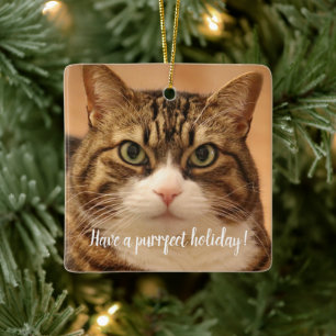 Personalized Cat Pet Memorial Holiday Ceramic Ornament