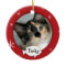Personalized Cat/Pet Photo Holiday