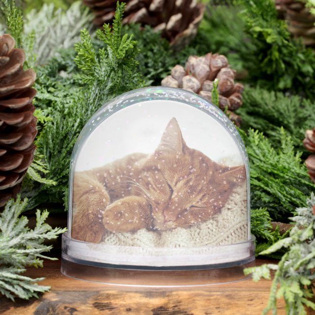 Personalized Cat Photos Keepsake Snow Globe (Winter)