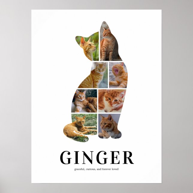 Personalized Cat Silhouette Photo Collage Poster (Front)