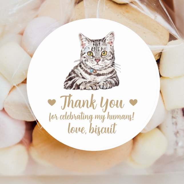 Personalized Cat Wedding Favour Stickers (Creator Uploaded)