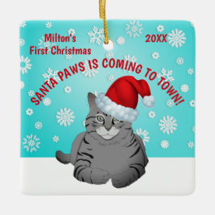 Personalized Cat's First Christmas Ornament