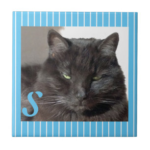 Personalized Ceramic Cat Tile