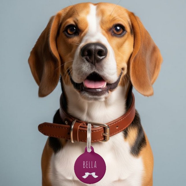personalized charm with name + numbers pet tag (Creator Uploaded)