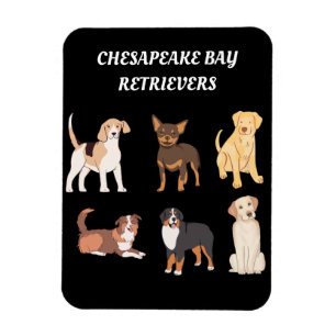 Personalized Chesapeake Bay Retrievers Dog Lovers Magnet