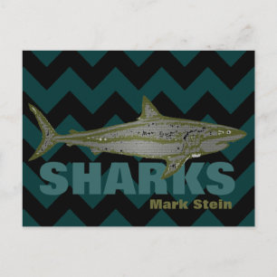 personalized chevron sharks postcard