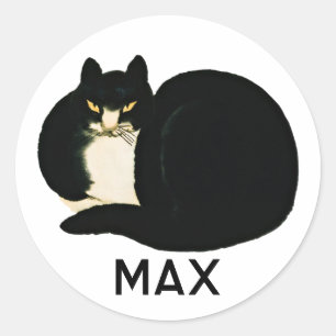 Personalized Chinese Qing Dynasty Black Manchu Cat Classic Round Sticker