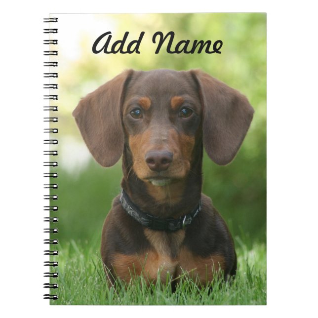 Personalized Chocolate and Tan Dachshund - Doxie Notebook (Front)