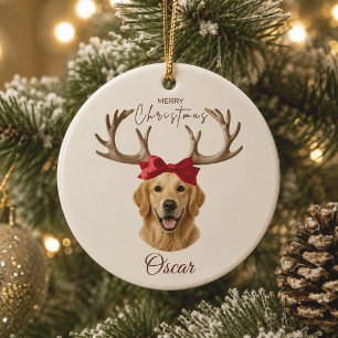 Personalized Christmas Pet Photo Name Ornament