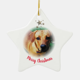 Personalized Christmas Star Shaped Ornament
