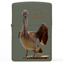 Personalized Coastal Wildlife Pelican Photo