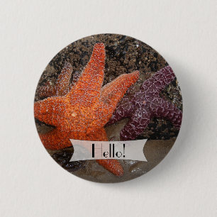 Personalized Colourful Starfish/Sea Star Photo 1 2 Inch Round Button