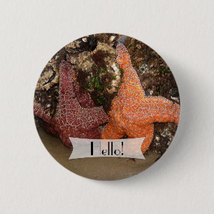 Personalized Colourful Starfish/Sea Star Photo 3 2 Inch Round Button