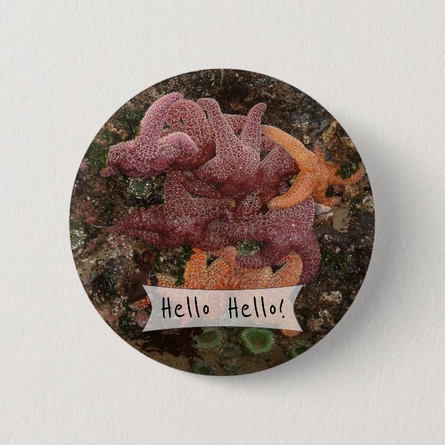 Personalized Colourful Starfish/Sea Star Photo 5 2 Inch Round Button (Front)