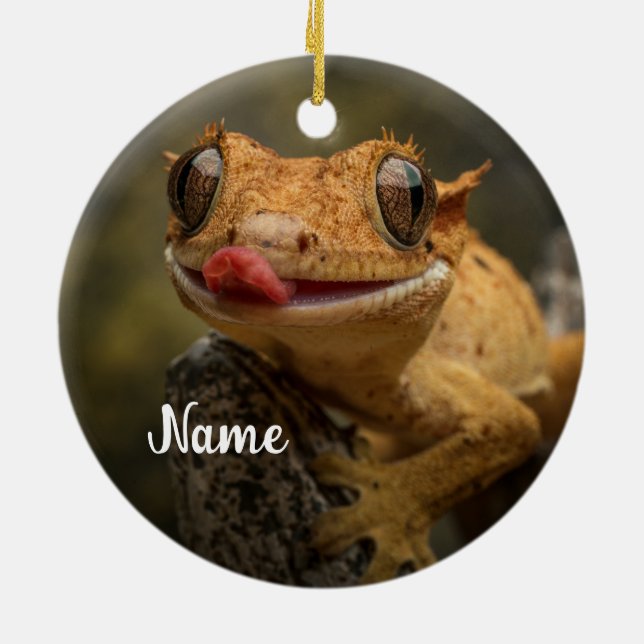 Personalized Crested Gecko Lizard Ceramic Ornament (Back)