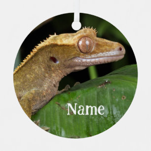 Personalized Crested Gecko Lizard Metal Ornament