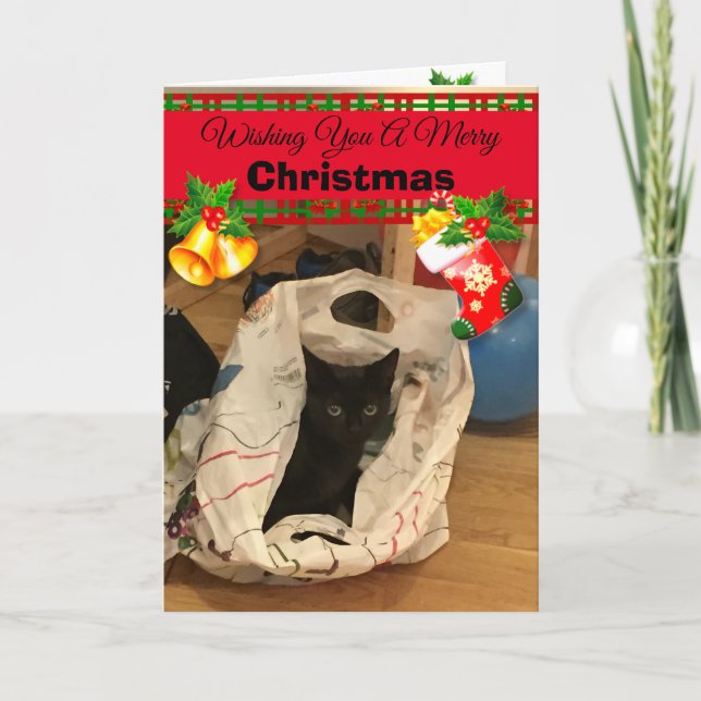 Personalized Custom Cat Christmas Photo Cards (Front)
