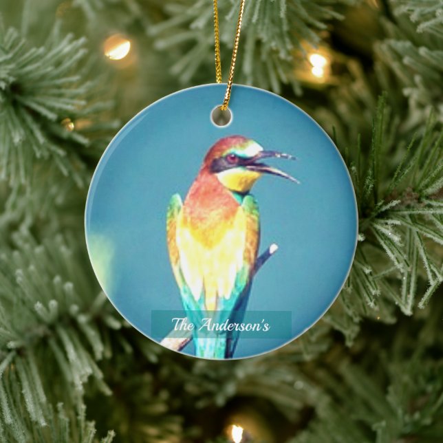 Personalized Custom Colourful Bird Photo Ceramic Ornament (Tree)