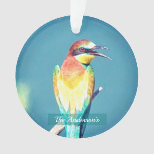 Personalized Custom Colourful Bird Photo Ornament