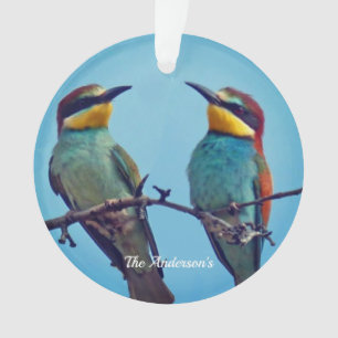 Personalized Custom Colourful Birds Photo Ornament