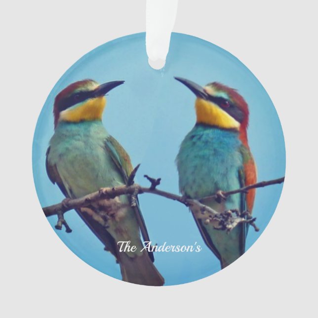 Personalized Custom Colourful Birds Photo Ornament (Front)