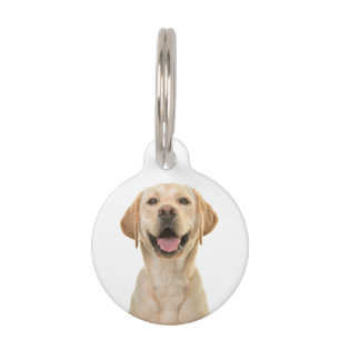 Personalized Custom Dog Pet Tag