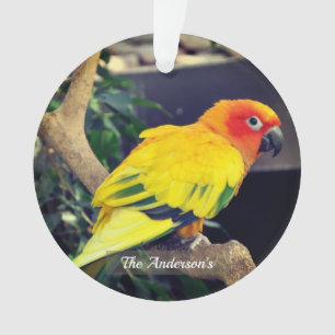 Personalized Custom Lovebird Photo Ornament