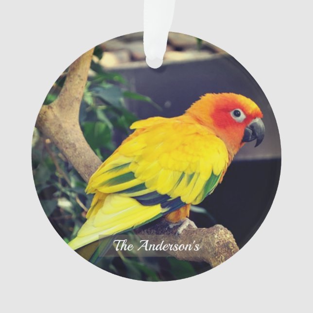 Personalized Custom Lovebird Photo Ornament (Front)