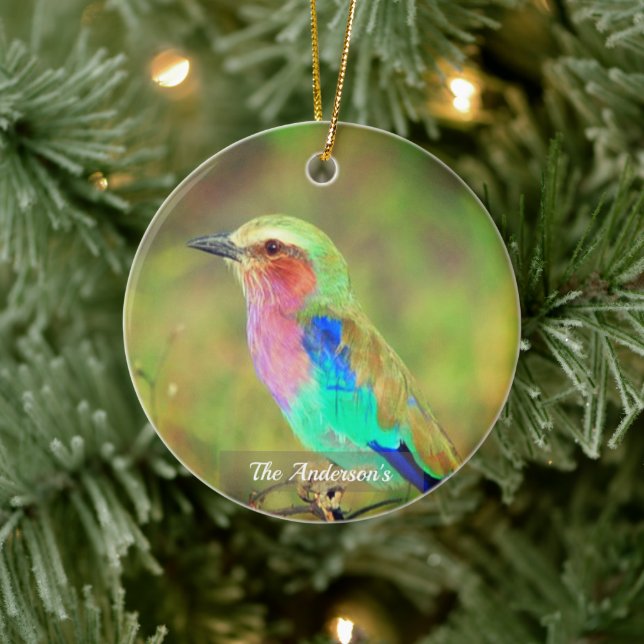 Personalized Custom Multicolor Bird Photo Ceramic Ornament (Tree)