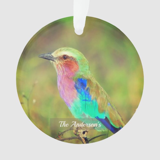 Personalized Custom Multicolor Bird Photo Ornament (Front)