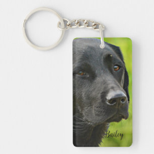 Personalized Custom Pet  Photo and Name Keychain