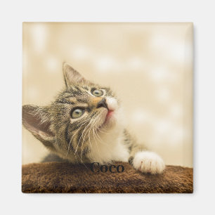 Personalized Custom Pet Photo and Text Magnet