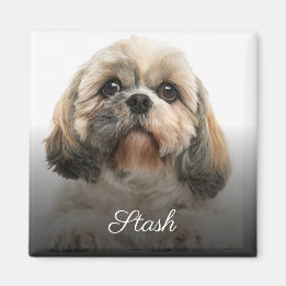Personalized Custom Pet Photo Magnet