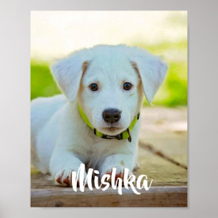 Personalized custom pet photo  poster