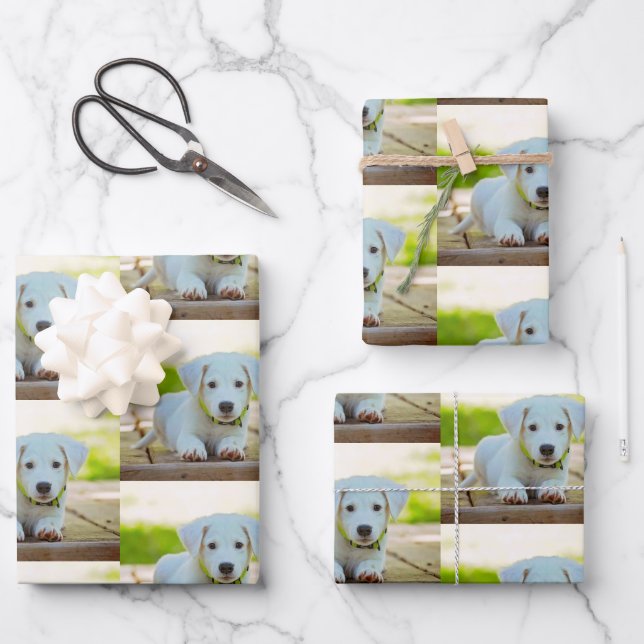 Personalized custom pet photo wrapping paper sheet (Front)