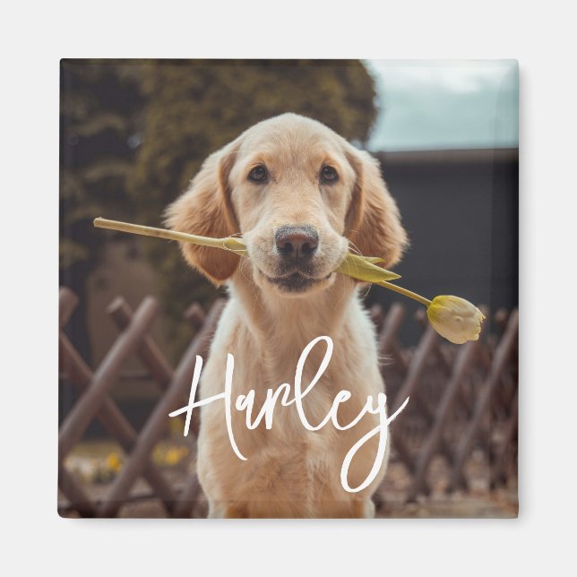 Personalized Custom Photo And Text Magnet (Front)