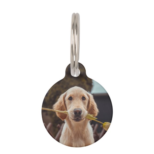 Personalized Custom Photo And Text Pet Tag (Front)