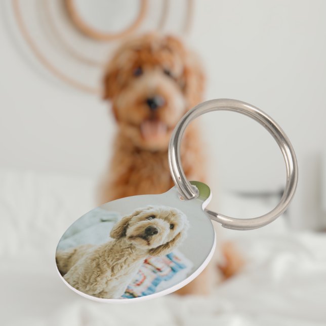 Personalized Custom Photo And Text Pet Tag (Creator Uploaded)