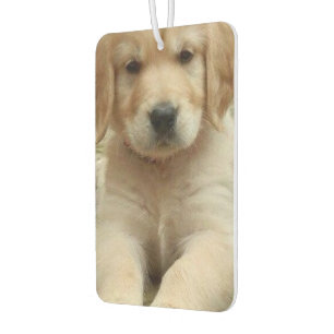 Personalized custom photo image picture two sided  air freshener