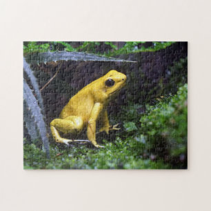 Personalized Custom Photo Jigsaw Puzzle