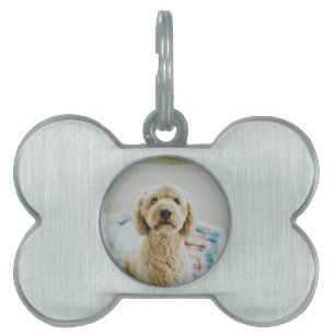 Personalized Custom Photo Pet ID Tag