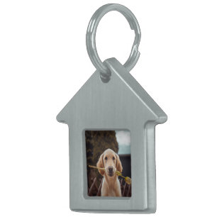 Personalized Custom Photo Pet ID Tag