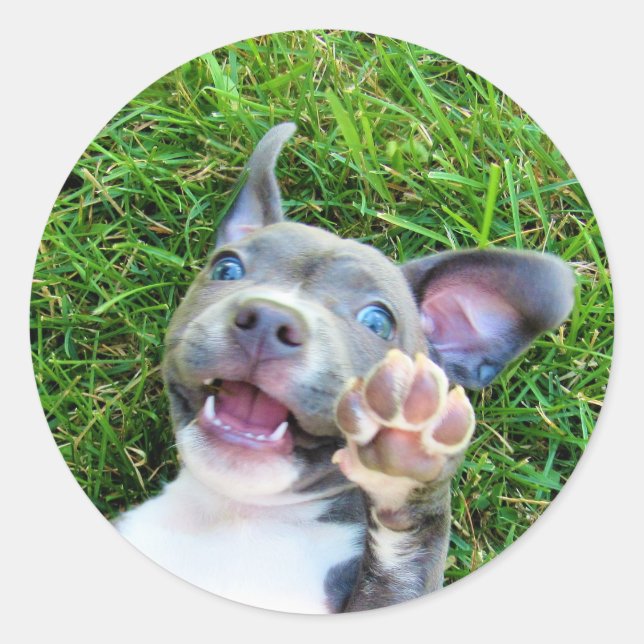 Personalized Custom Photo Puppy Dog Birthday Party Classic Round Sticker (Front)