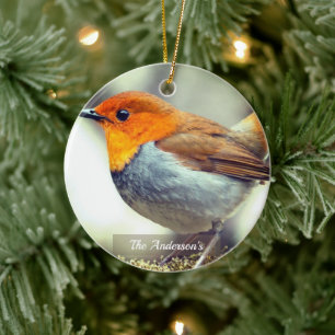 Personalized Custom Robin Bird Photo Ceramic Ornament