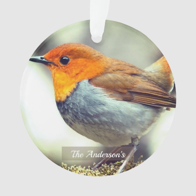 Personalized Custom Robin Bird Photo Ornament (Front)