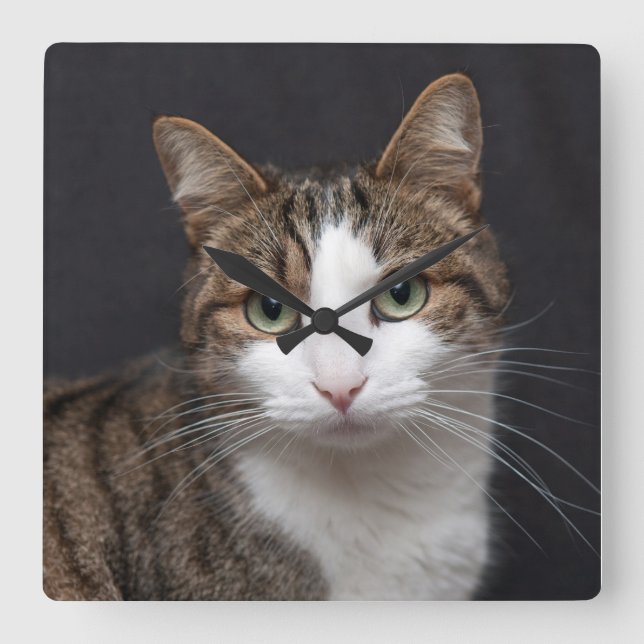 Personalized Custom Tabby Cat Single Pet Photo Square Wall Clock (Front)