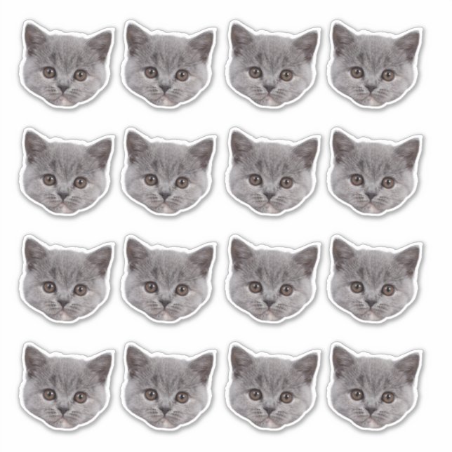 Personalized Cute Cat Face 16 Photos Vinyl (Front)