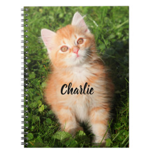 Personalized Cute Fluffy Orange Tabby Cat Kitten Notebook