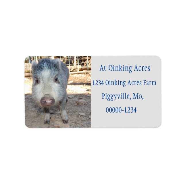 Personalized Cute Grey Mini Pig Address Labels (Front)