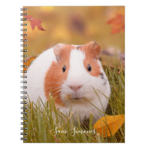 Personalized / Cute Guinea Pig & Autumn Leaves Notebook